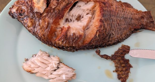 African Kitchen photo 3