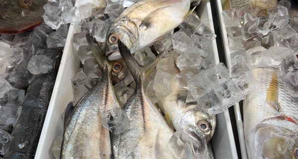 Asian Fresh Market photo 3