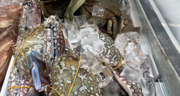 Asian Fresh Market photo 4