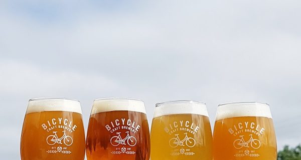 Bicycle Craft Brewery photo 4