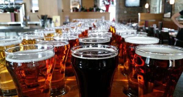 Brew Donkey Tours photo 5