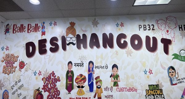 Desi Hangout – Indian Fusion Street Food photo 3