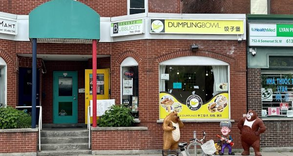 Dumpling Bowl & Bubblicity Tea Shop