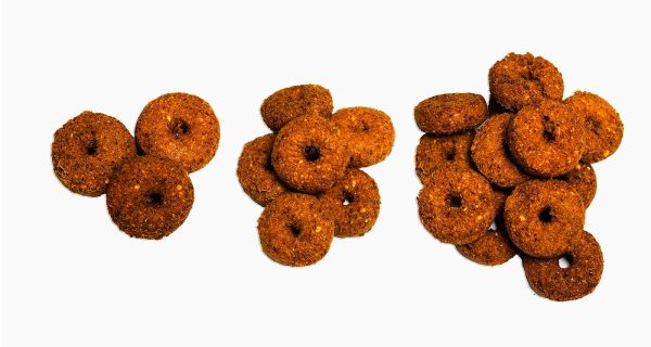 FAT SISTER FALAFELS photo 2