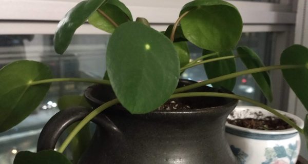 Fairway Trading Co photo 5