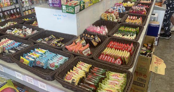 Hungry Ninja photo 4