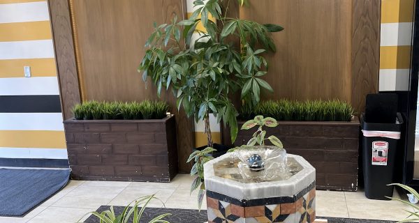 Jasmine bakery photo 5