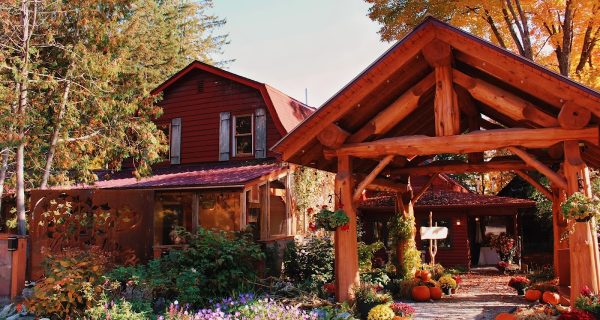 L’Orée du Bois photo 3