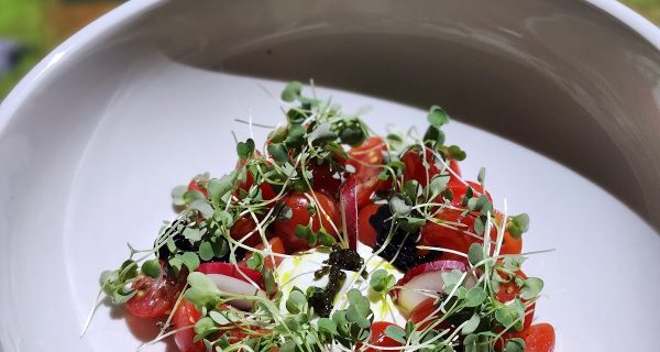 Le Petit Chef – Ottawa photo 5