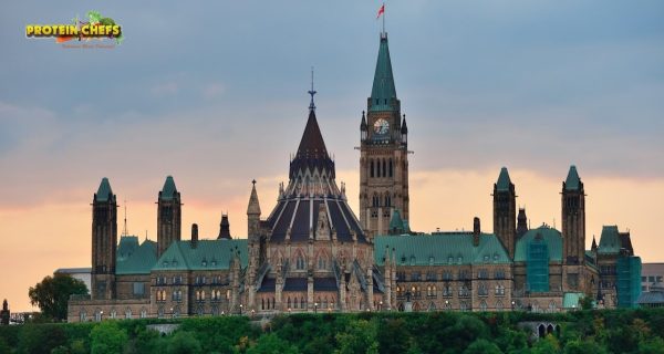 Protein Chefs – Ottawa Healthy Meal Delivery photo 5