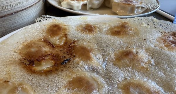 Sammi & Soupe Dumpling photo 4