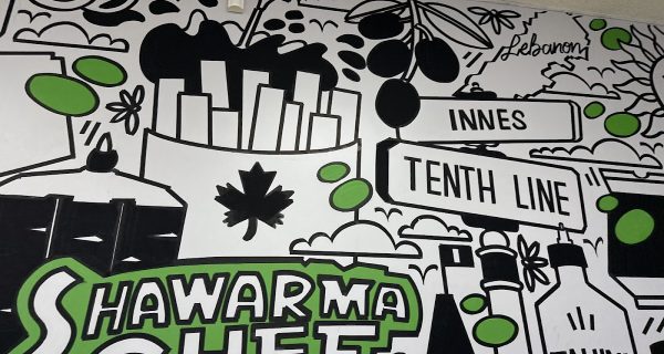 Shawarma Chef photo 4