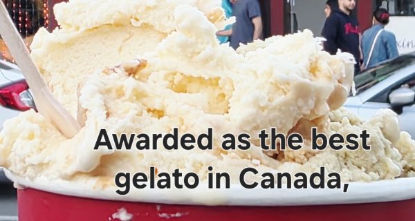 Stella Luna Gelato Cafe photo 5