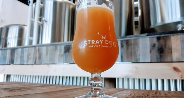 Stray Dog Brewing Company photo 4