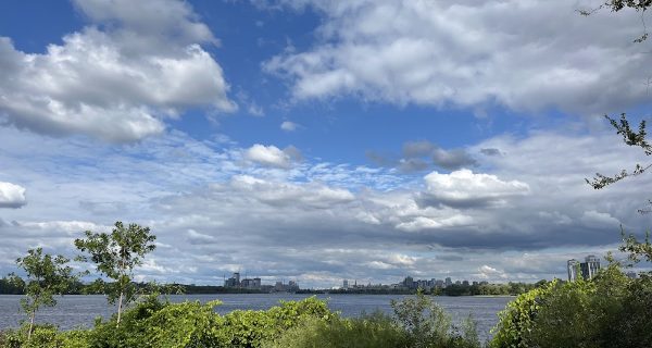 Tavern on the Island photo 4