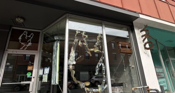 YKO Chicken BBQ photo 5