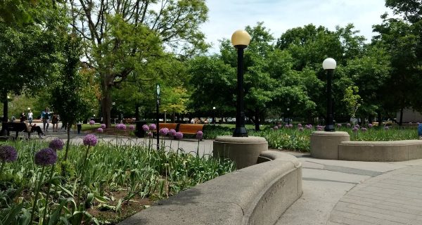Confederation Park photo 4
