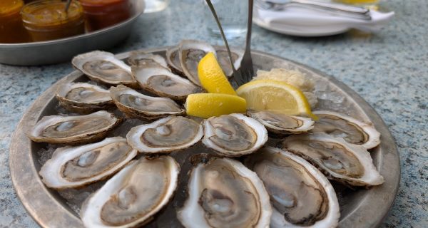 Elmdale Oyster House & Tavern photo 3